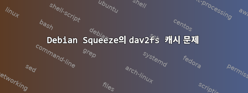 Debian Squeeze의 dav2fs 캐시 문제