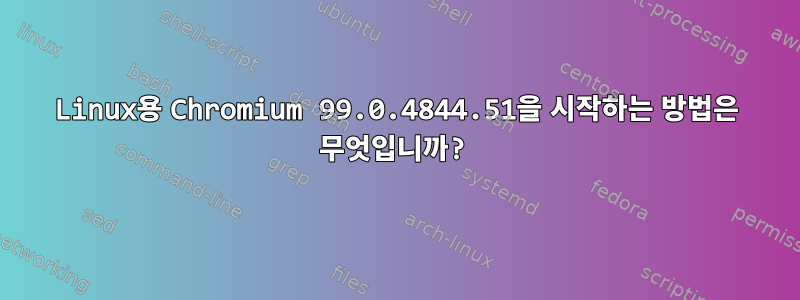 Linux용 Chromium 99.0.4844.51을 시작하는 방법은 무엇입니까?