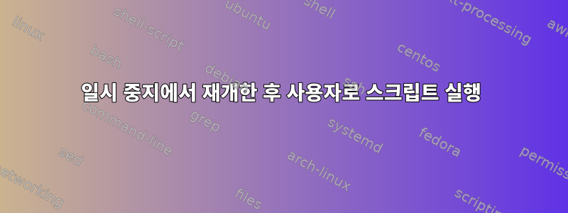 일시 중지에서 재개한 후 사용자로 스크립트 실행