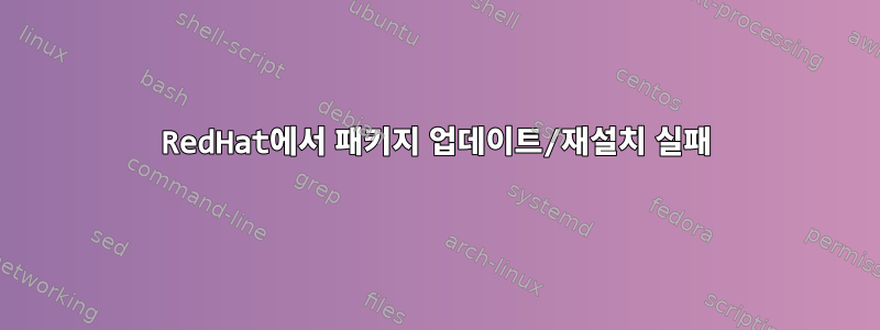 RedHat에서 패키지 업데이트/재설치 실패