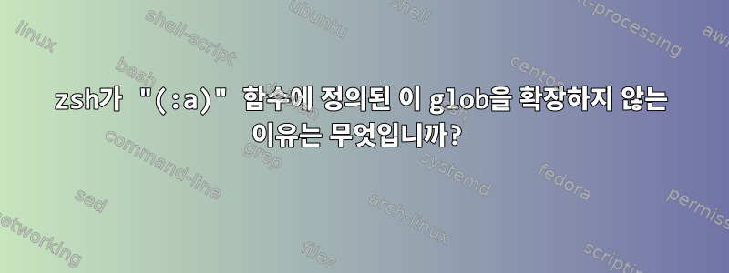 zsh가 "(:a)" 함수에 정의된 이 glob을 확장하지 않는 이유는 무엇입니까?