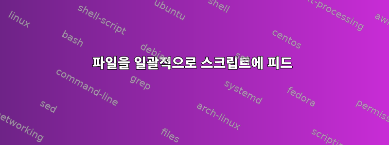 파일을 일괄적으로 스크립트에 피드