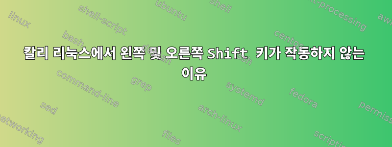 칼리 리눅스에서 왼쪽 및 오른쪽 Shift 키가 작동하지 않는 이유