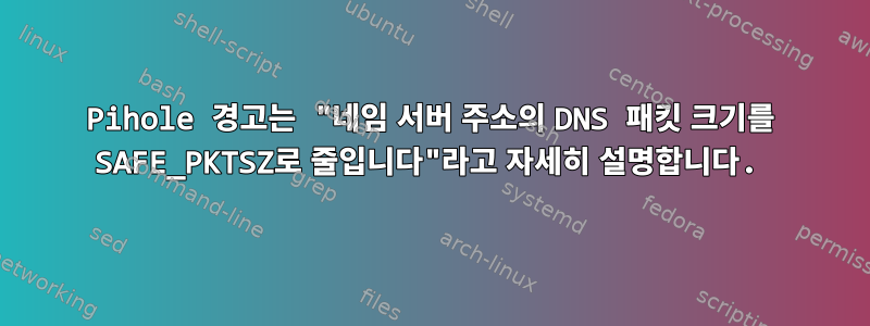 Pihole 경고는 "네임 서버 주소의 DNS 패킷 크기를 SAFE_PKTSZ로 줄입니다"라고 자세히 설명합니다.