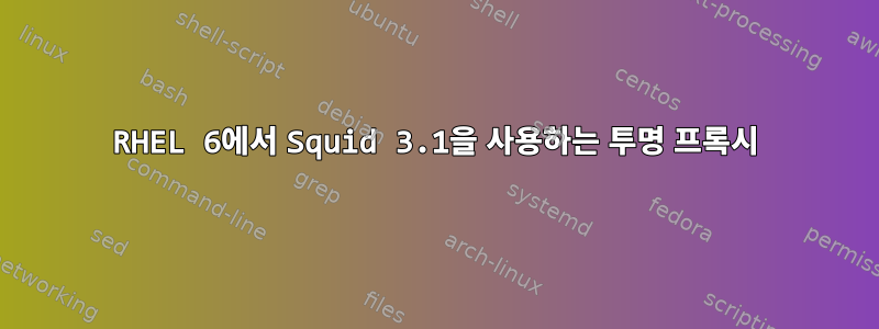 RHEL 6에서 Squid 3.1을 사용하는 투명 프록시