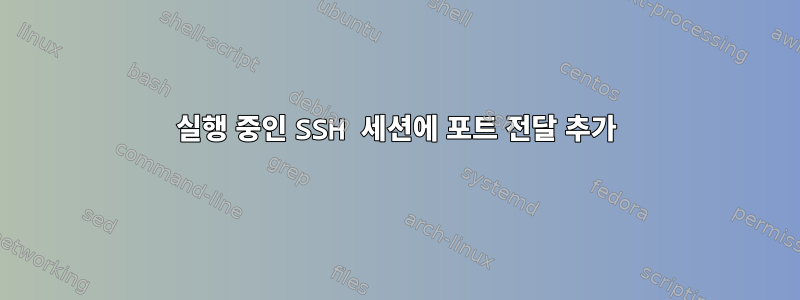 실행 중인 SSH 세션에 포트 전달 추가