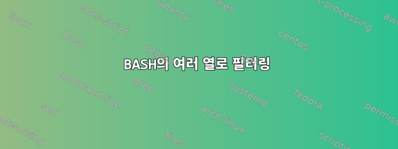 BASH의 여러 열로 필터링