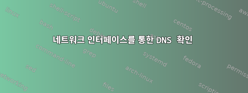 네트워크 인터페이스를 통한 DNS 확인