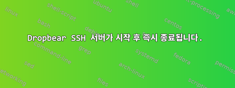 Dropbear SSH 서버가 시작 후 즉시 종료됩니다.