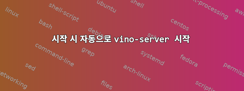 시작 시 자동으로 vino-server 시작