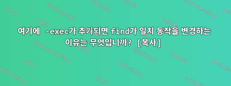 여기에 -exec가 추가되면 find가 일치 동작을 변경하는 이유는 무엇입니까? [복사]