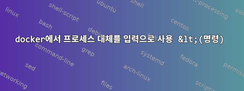 docker에서 프로세스 대체를 입력으로 사용 &lt;(명령)