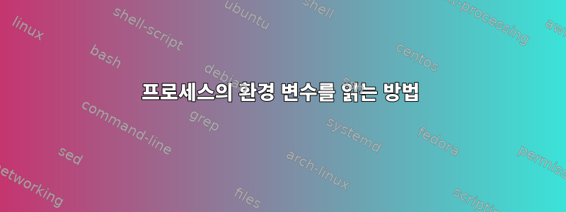 프로세스의 환경 변수를 읽는 방법