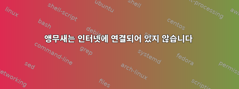 앵무새는 인터넷에 연결되어 있지 않습니다