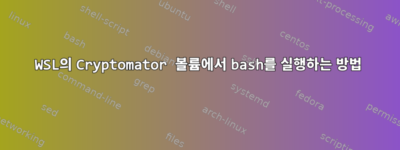 WSL의 Cryptomator 볼륨에서 bash를 실행하는 방법