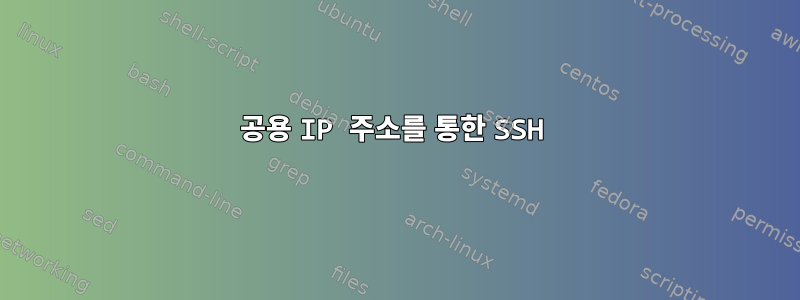 공용 IP 주소를 통한 SSH