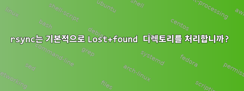 rsync는 기본적으로 Lost+found 디렉토리를 처리합니까?