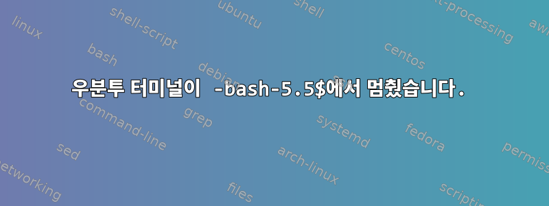 우분투 터미널이 -bash-5.5$에서 멈췄습니다.