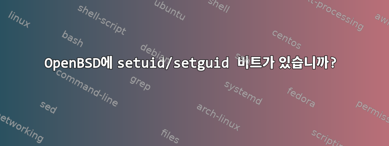 OpenBSD에 setuid/setguid 비트가 있습니까?