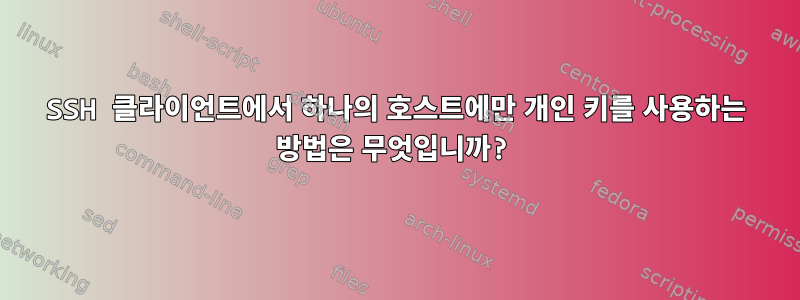 SSH 클라이언트에서 하나의 호스트에만 개인 키를 사용하는 방법은 무엇입니까?