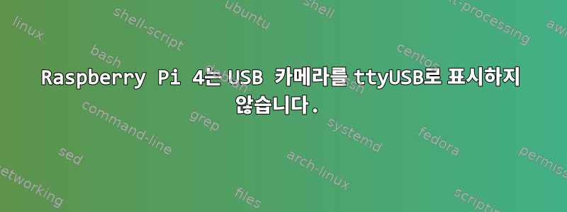 Raspberry Pi 4는 USB 카메라를 ttyUSB로 표시하지 않습니다.