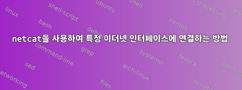 netcat을 사용하여 특정 이더넷 인터페이스에 연결하는 방법