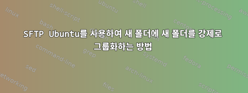 SFTP Ubuntu를 사용하여 새 폴더에 새 폴더를 강제로 그룹화하는 방법