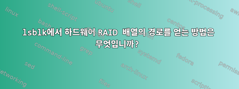 lsblk에서 하드웨어 RAID 배열의 경로를 얻는 방법은 무엇입니까?