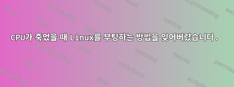 CPU가 죽었을 때 Linux를 부팅하는 방법을 잊어버렸습니다.