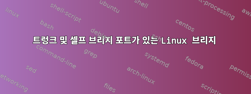 트렁크 및 셀프 브리지 포트가 있는 Linux 브리지