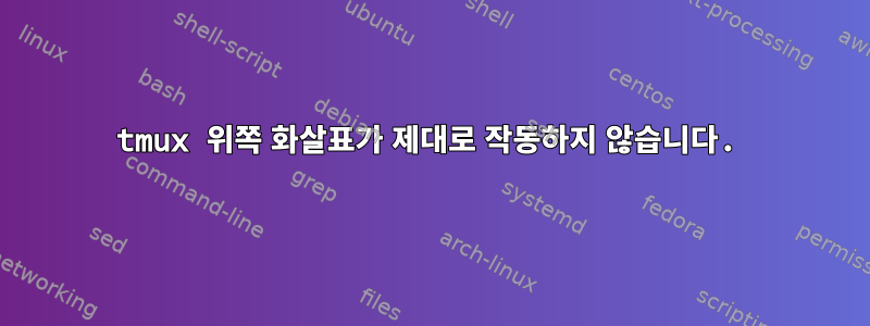 tmux 위쪽 화살표가 제대로 작동하지 않습니다.