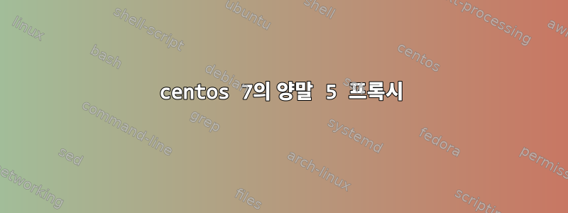 centos 7의 양말 5 프록시