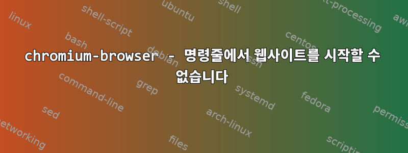 chromium-browser - 명령줄에서 웹사이트를 시작할 수 없습니다