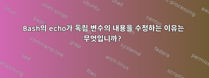 Bash의 echo가 독립 변수의 내용을 수정하는 이유는 무엇입니까?