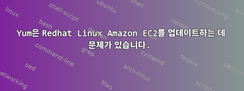 Yum은 Redhat Linux Amazon EC2를 업데이트하는 데 문제가 있습니다.