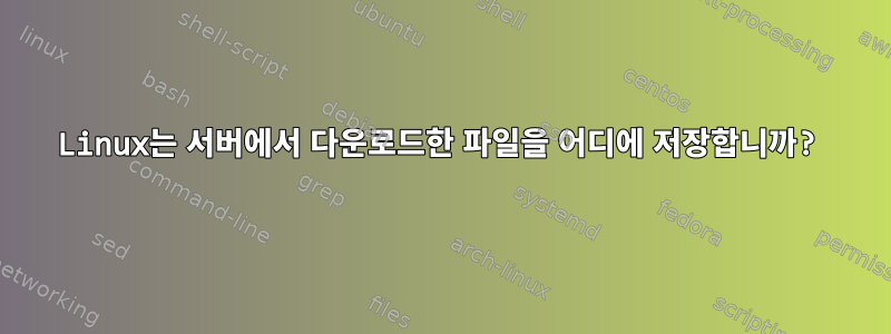 Linux는 서버에서 다운로드한 파일을 어디에 저장합니까?