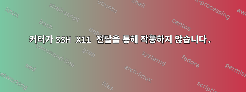 커터가 SSH X11 전달을 통해 작동하지 않습니다.