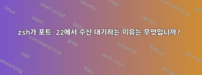 zsh가 포트 22에서 수신 대기하는 이유는 무엇입니까?