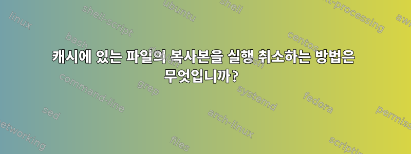 캐시에 있는 파일의 복사본을 실행 취소하는 방법은 무엇입니까?