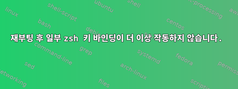 재부팅 후 일부 zsh 키 바인딩이 더 이상 작동하지 않습니다.