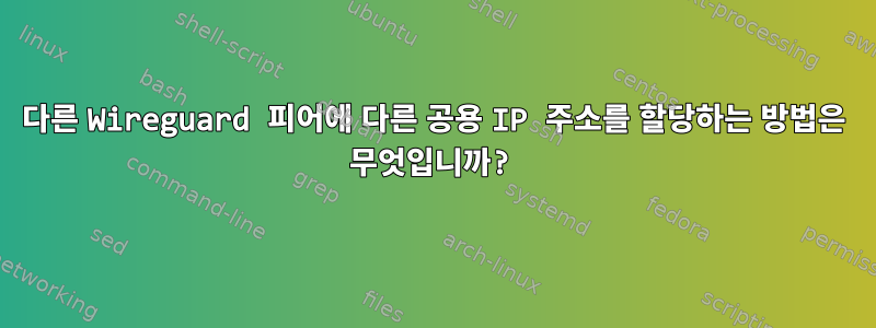 다른 Wireguard 피어에 다른 공용 IP 주소를 할당하는 방법은 무엇입니까?