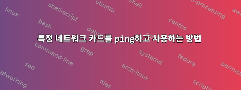 특정 네트워크 카드를 ping하고 사용하는 방법