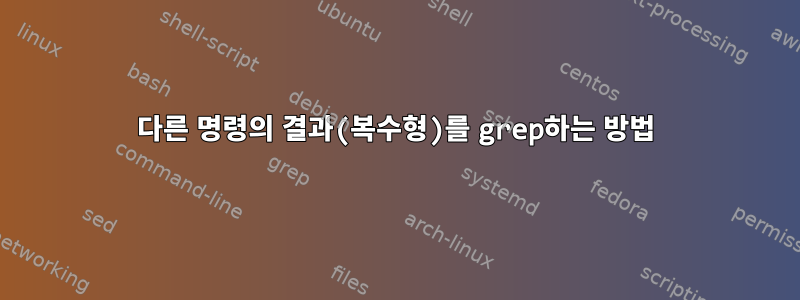 다른 명령의 결과(복수형)를 grep하는 방법