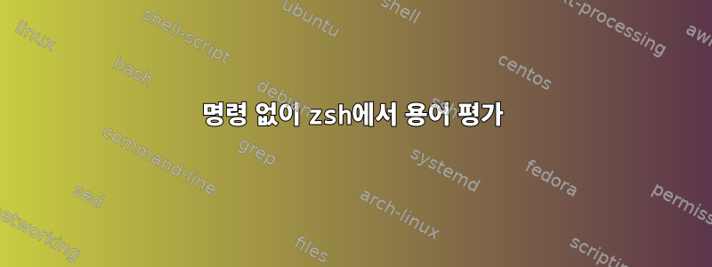 명령 없이 zsh에서 용어 평가