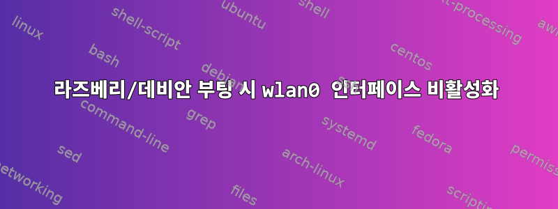 라즈베리/데비안 부팅 시 wlan0 인터페이스 비활성화