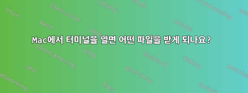 Mac에서 터미널을 열면 어떤 파일을 받게 되나요?