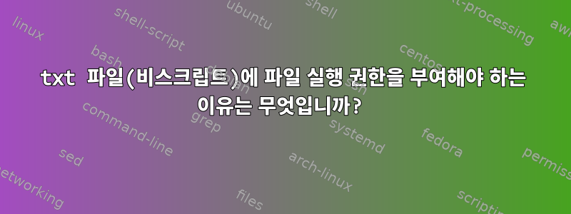 txt 파일(비스크립트)에 파일 실행 권한을 부여해야 하는 이유는 무엇입니까?