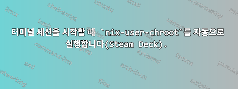 터미널 세션을 시작할 때 `nix-user-chroot`를 자동으로 실행합니다(Steam Deck).