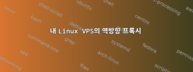 내 Linux VPS의 역방향 프록시