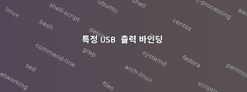 특정 USB 출력 바인딩